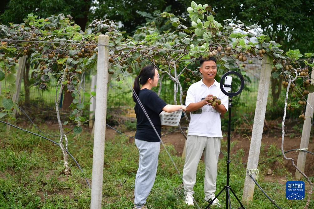 大满贯游戏下载